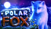 Polar fox.